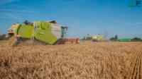 Wallpaper Claas TUCANO & LEXION